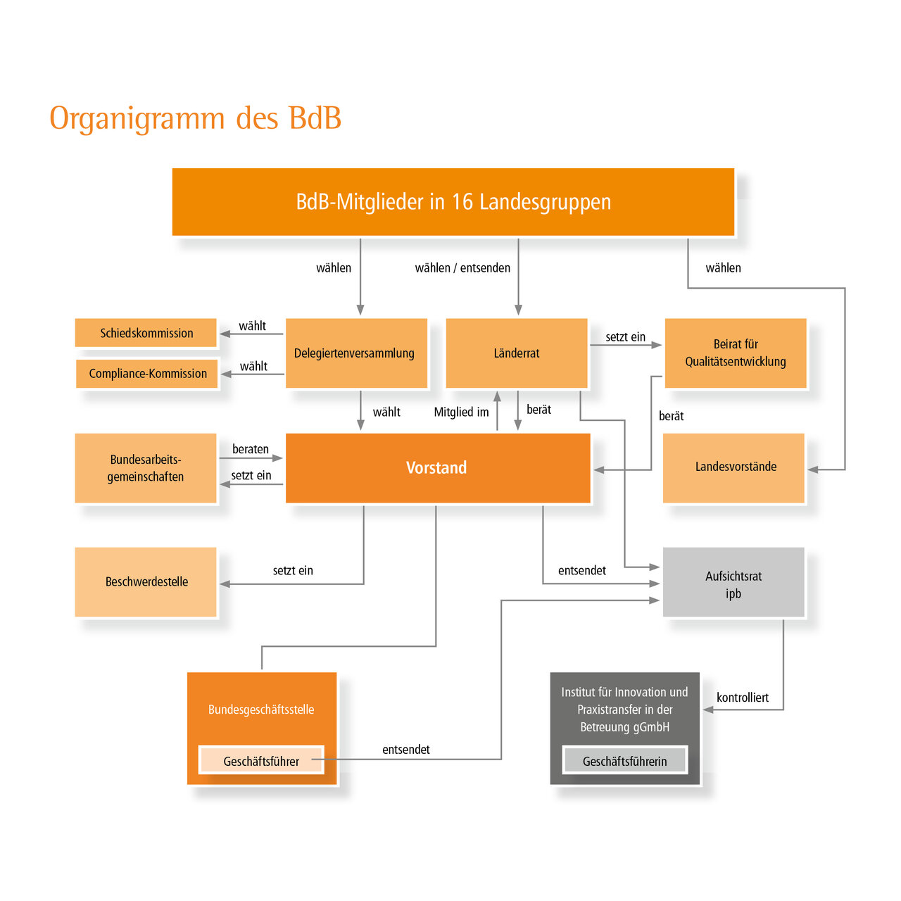 BdB Organigramm Verbandsstruktur 